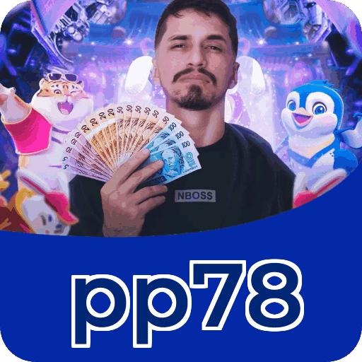 Interface pp78